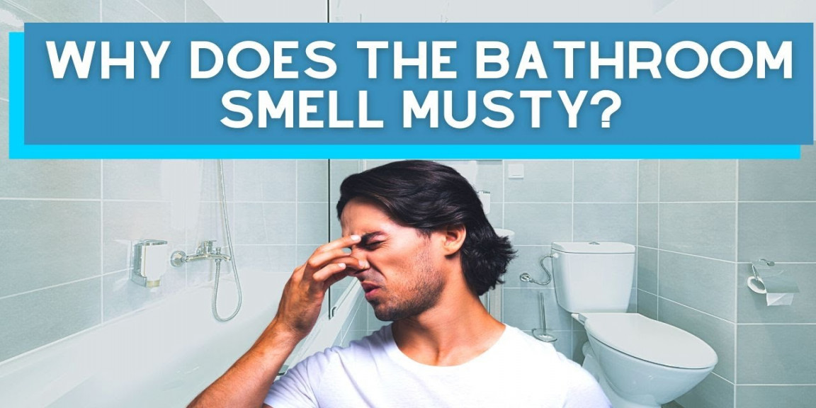 Bathroom Smells Musty! - Causes And Solutions