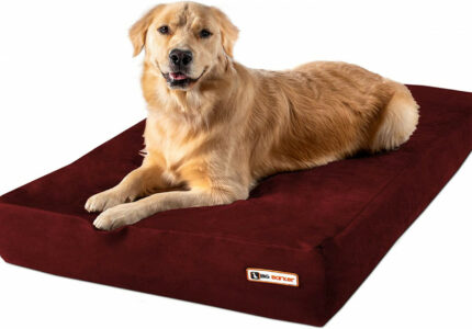 Big Barker  Pillow Top Orthopedic Dog Bed - Large Size -  X