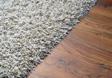 Carpet vs hardwood floors? Weighing in on the Pros and Cons