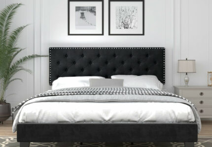 Catrimown Queen Size Bed Frame with Adjustable Headboard, Velvet  Upholstered Platform Bed Frame, Wooden Slat Support, Mattress Foundation,  No Box