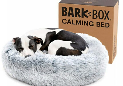 Cuddler Bed — Bark Home
