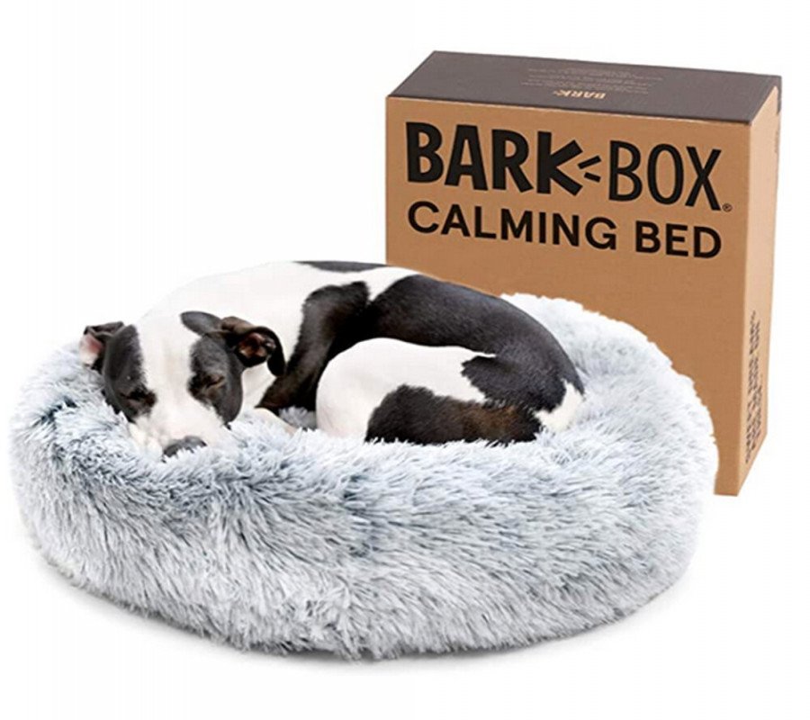 Barkbox Free Bed