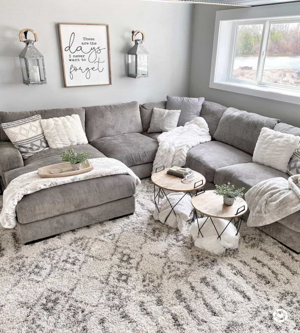Grey Couch Living Room Idea