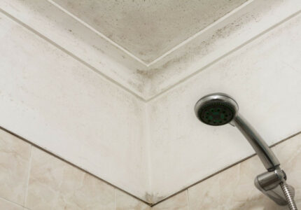 How to Remove Mold From Bathroom Ceilings