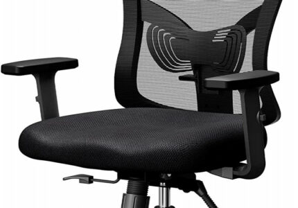NOBLEWELL ergonomic office chair with lumbar support, adjustable