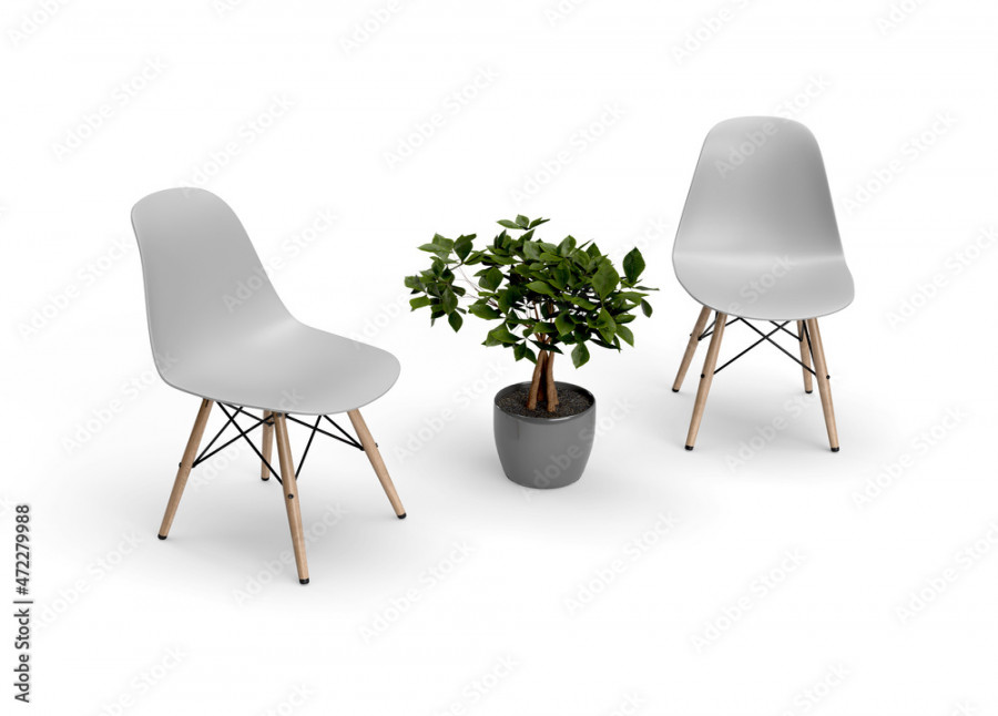 Perspective view of White Modern Chairs with an ever green pot