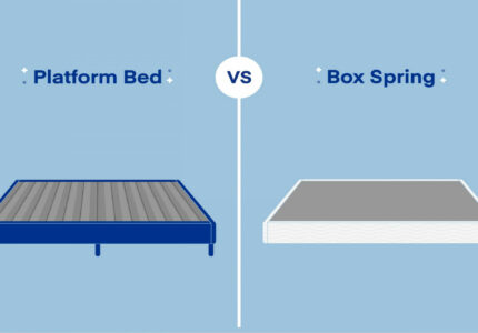 Platform Bed vs