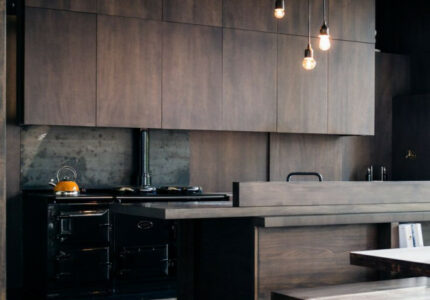 Playful Dark Kitchen Designs Ideas & Pictures  Stylish kitchen