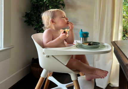 Real Mom Product Reviews: Lalo The Chair -in- High Chair - Milk