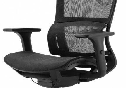 Sihoo Ergonomic Office Chair with Ring Lumbar Support, D Armrests